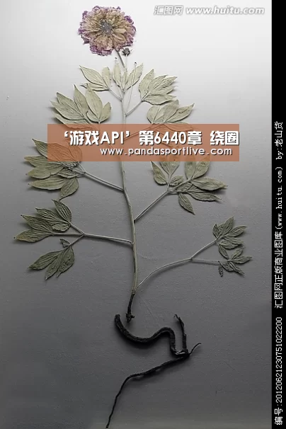 熊猫体育