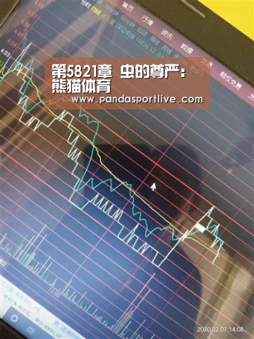 熊猫体育