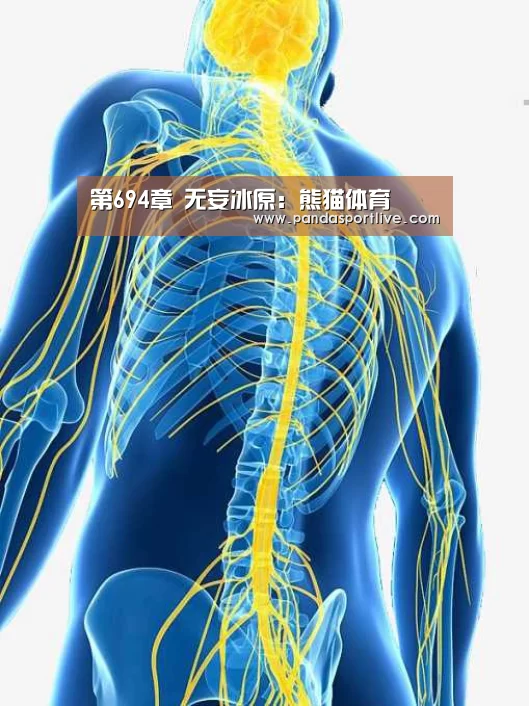 熊猫体育平台