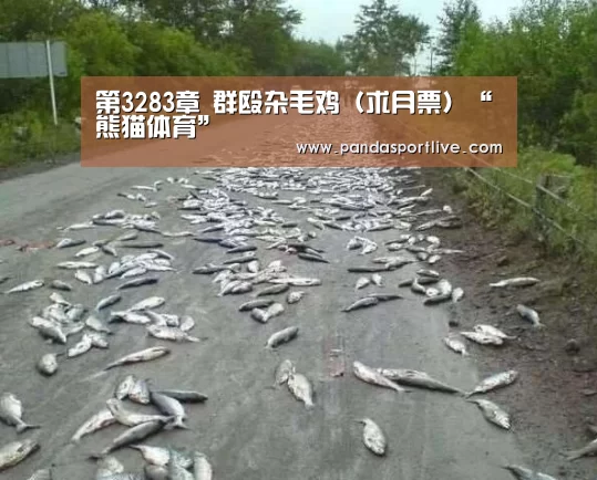 熊猫体育官网