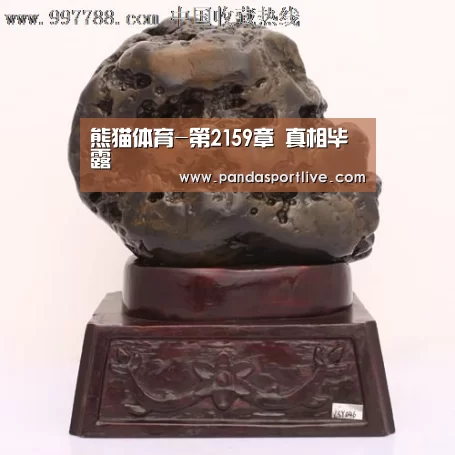熊猫体育