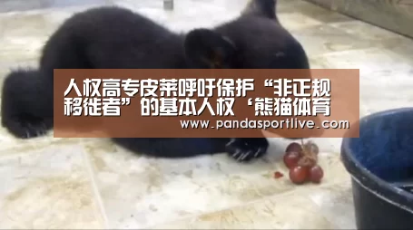 熊猫体育