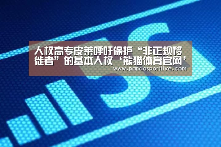 熊猫体育官网