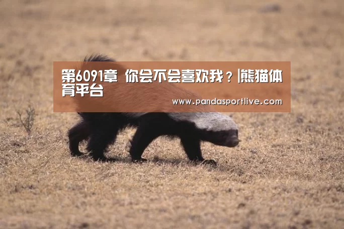 熊猫体育平台