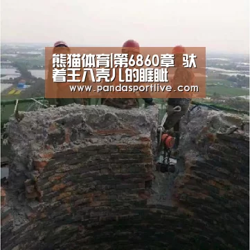 熊猫体育|第6860章 驮着王八壳儿的睚眦(图1) 熊猫体育官网